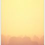 “08:12”

Early morning, through the bedroom window. Spectacularly beautiful fog. 
One Photo a Day Project #083
.