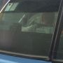 Very odd. This cabby has a cash only sign but also a euros accepted sign. Do you think he's going on holiday !!! 