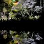 【栃木の桜】那須町・堂の下の岩観音の桜 見頃の時期にはライトアップが施されます 手前の休耕田に映り込む桜も見所