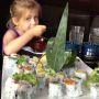 Sushi. En Isis. 