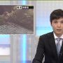 常滑で猿とな