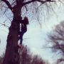 Loïs is saving a cat from a tree!