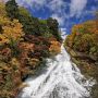【湯滝】落差50mの滑走型の滝周辺を紅葉が彩ります