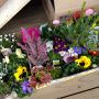 結局一睡もできなかっま。とりま、花屋さんに行ってくるね꒰꒰≡≡≡≡\( ˃̶̤́ ౪ ˂̶̤̀)ﾉでも家にも大量の花はあるのだけどね(笑)