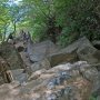 【筑波山】一応、階段っぽくはなってるな... 