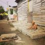 Cartagena is for the dogs..not really but there's a lot of them!
#beautyishere