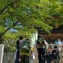 【筑波山】まずはケーブルカーに乗るために神社の奥を目指します 