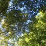 El cielo en mi lugar  #PincelesPensando