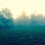 Early foggy cold morning in so cal. 