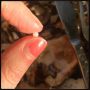 oysters for dinner and i think i just found a pearl.