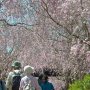 【常陸 風土記の丘】これは人が集まるのも頷けますわｗ 