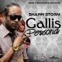 SHAWN STORM - GALLIS PERSONA - SINGLE - #ITUNES 9/24/13 @rvssianhcr
