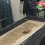 染め体験