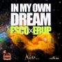ESCO X ERUP - IN MY OWN DREAM - SINGLE #ITUNES 5/20/14 @escodashocker