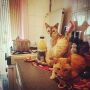 Koken met poesjes. In #Wonderland ..