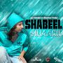SHABEEL - SILMARIL - SINGLE #ITUNES 1/7/14 @djfrankcomusic