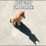 Tickled me 