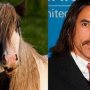 Gespot in een weiland in Barnsley: dit paard lijkt sprekend op Anthony Kiedis van de Red Hot Chili Peppers!