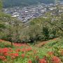 茂木の城山公園に行ってｷﾀ━━ヽ(ﾟ∀ﾟ )ﾉ━━!! まずは茂木の町を見下ろす～