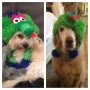 Pups. Early Halloween. :)