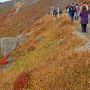 紅葉時期は特に観光の方が殺到します 登山道も交通渋滞ぱねぇｗ