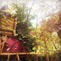 Autumn in #Wonderland and how I love my #treecastle #treehouse