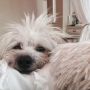 My little snuggler 