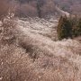 【西渓園】山頂から見下ろせば絶景かな～ 