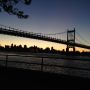 NY. 