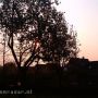 Opkomende zon