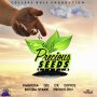 PRECIOUS SEEDS RIDDIM - MASICKA, QQ, CK #ITUNES 8/25/17 @collegeboiz @masickamusic @qqworld