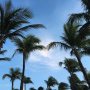 Yeah, so I'm in Aruba all of a sudden.... 🌴