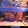 Grapjas met zn grapjes #dierenwinkel