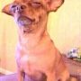 When the teacher called on me to read an my hand wasnt up✍
