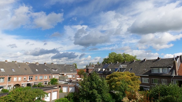 harde puisten