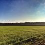 Morning run