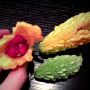 #da795 良い連休をー！(^O^)／ 番組冒頭で話題のアレwww→