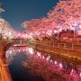 【真岡市・城山公園】風が無かったので水面の映り込みも綺麗♪