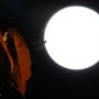 満月前夜、魅せられて...。