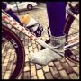 High performance shoecovers by @RoxaneKnetemann Hunebed-style and cobble-proof! #rvd #RaboLivGiant