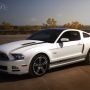 NEW 2013 FORD Motor Cars