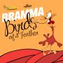BRAMMA - BIRDS OF A FEATHER - SINGLE #ITUNES 4/8/14 @Slockent @Bramma1