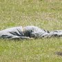【武山駐屯地 東部方面混成団創立6周年記念行事】案の定、自衛隊の誇るスナイパーによって秒殺ｗｗｗｗｗｗ なんのギャグだよｗｗｗｗｗ 