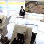 特集、てあしくちびょう。