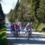 Training in Tuscany, viale dei Cipressi