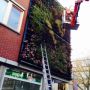 Nieuwe plantjes erbij. 3de Pijnackerstraat