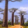 Mooi zeg. Madagascar. En dan niet de tekenfilm. Al heeft deze foto wel veel weg van een tekening. Credits: @lukewaitphotography