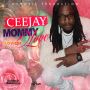 CEEJAY - MOMMY LOVE (ADVICE RIDDIM) - SINGLE #ITUNES 6/2/15 @dunwellprods