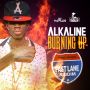 ALKALINE - BURNING UP - FAST LANE RIDDIM - SINGLE - #ITUNES 4/22/14 @chimneyrecords @david_chimney @thealkaline