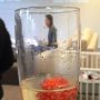 #alldaydrinkingday by @sophieodk at @thenextweb